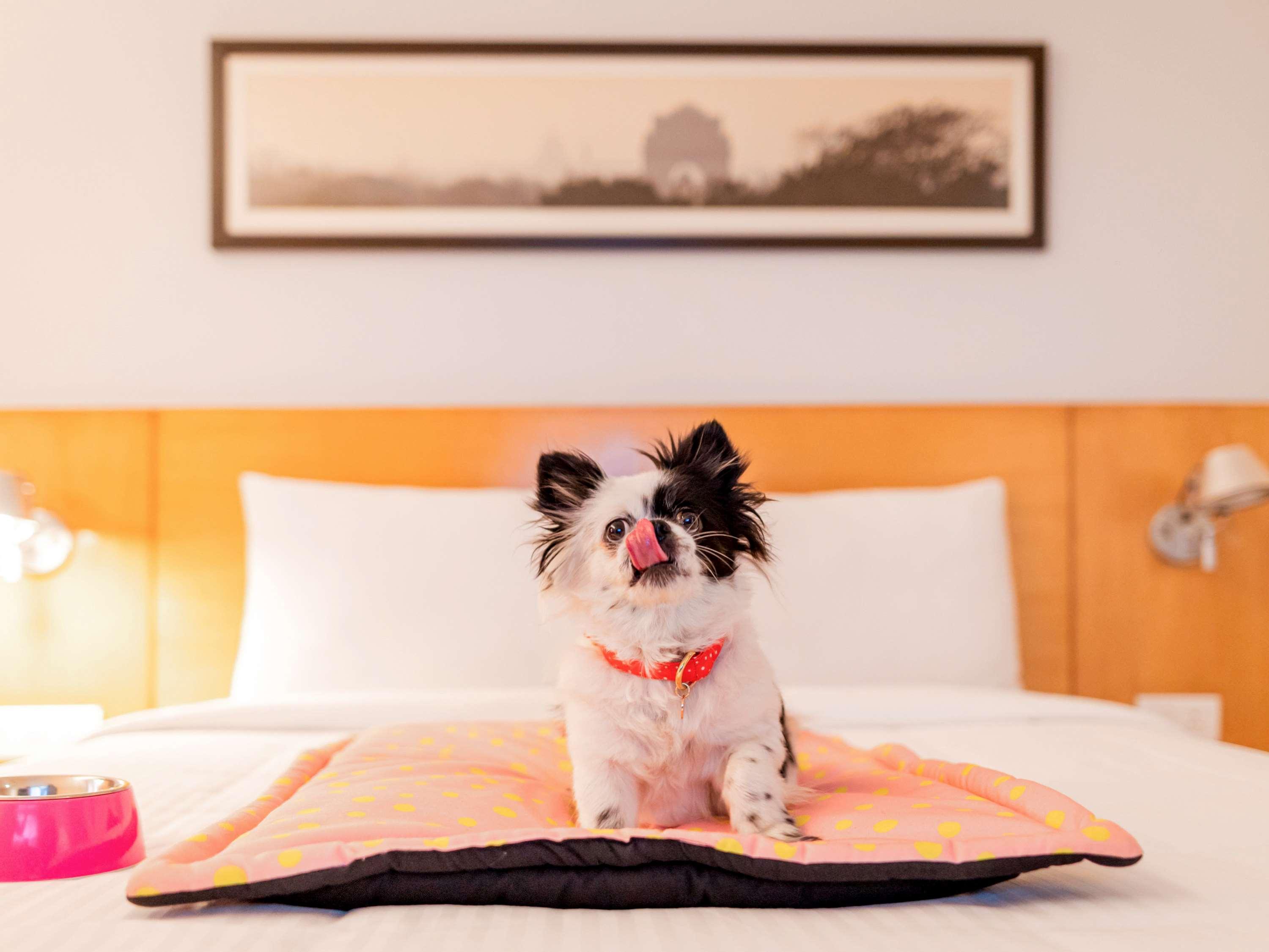 Mercure แคนเบอร์รา ภายนอก รูปภาพ